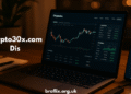 Crypto30x.com Dis