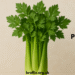 Pravi Celer: The True Celery with Power, Benefits, and Cautions Pravi Celer