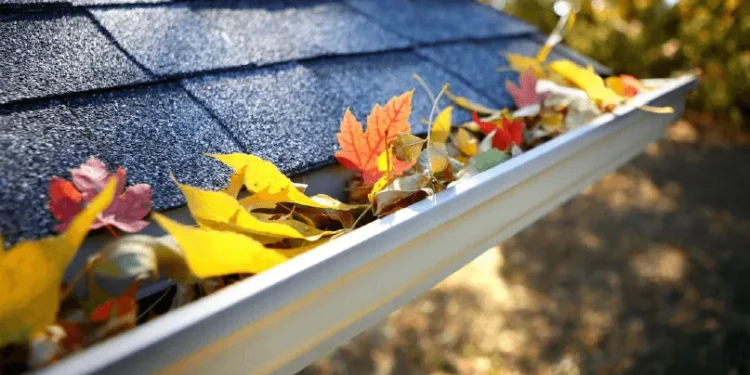 How to Extend the Life of Your Gutters Through Regular Maintenance How to Extend the Life of Your Gutters Through Regular Maintenance