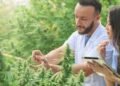 Ways Medical Cannabis Can Enhance Your Wellness Routine